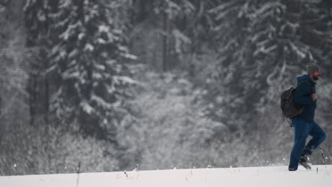 person walking in the forest