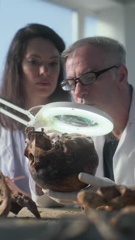 scientists examining ancient skull