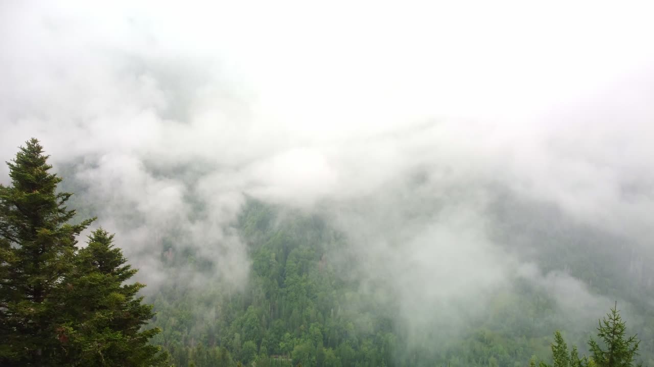 Low lying clouds on a mountain area of pine trees in South France. Aerial video heads out straight forwards before panning down revealing the drop into the valley with the fog over the dense forest