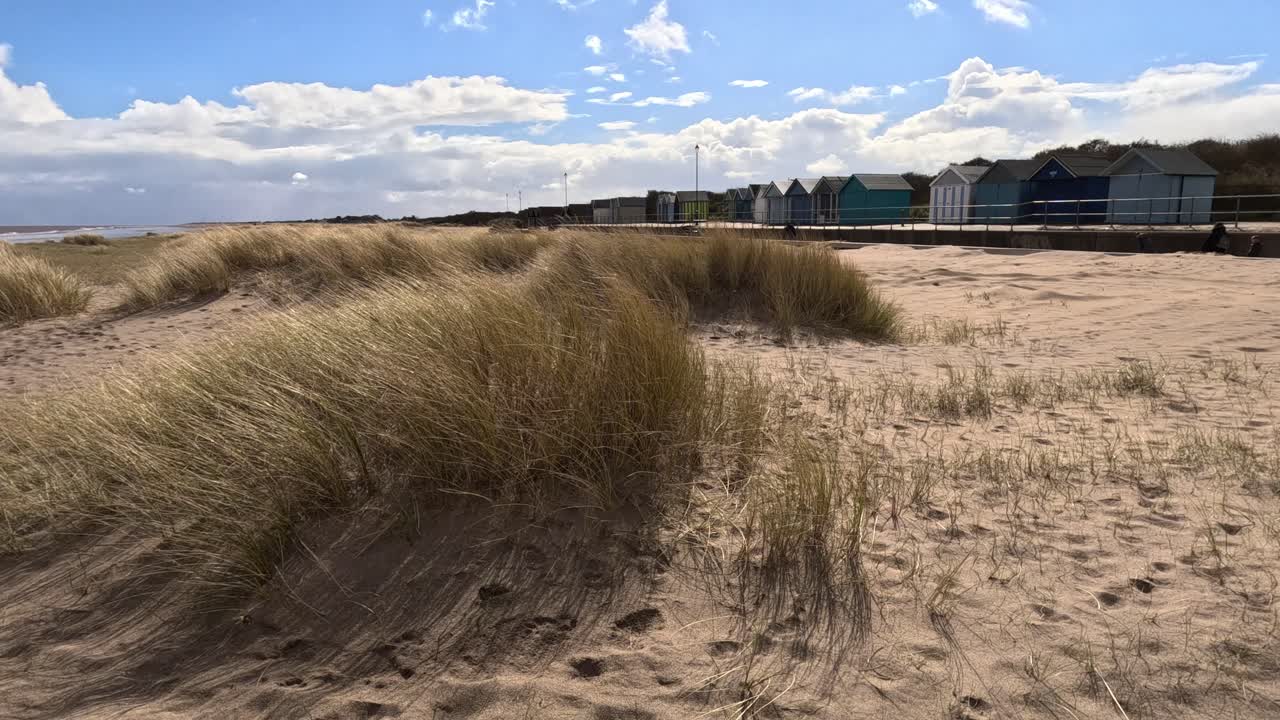 la hierba de la playa creciendo en una playa de arena iluminada por el sol con cielo azul y nubes blancas