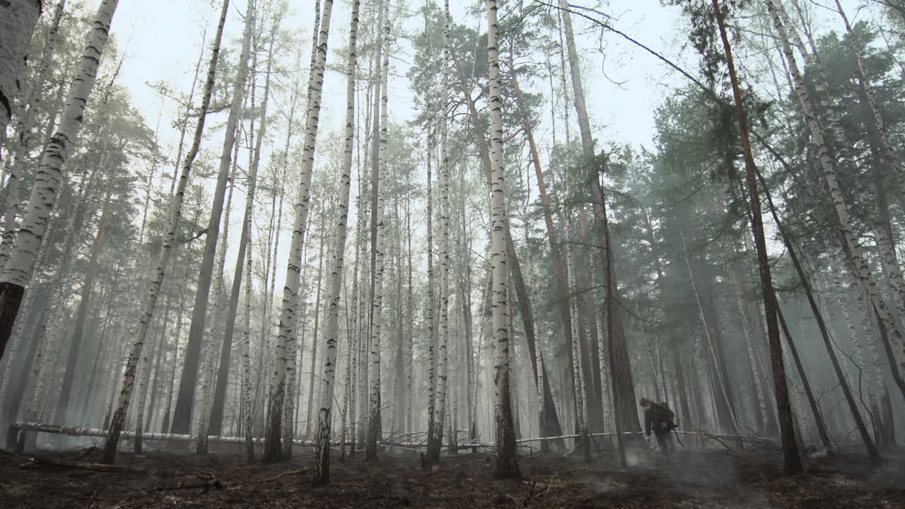 Skovarbejder slukker ulmende jord efter skovbrand