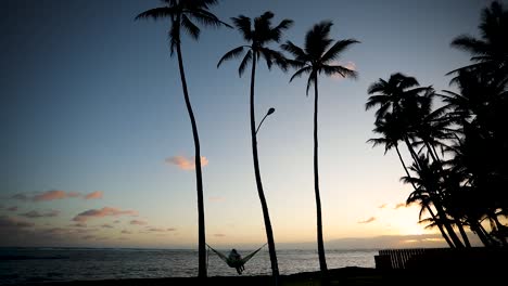 pareja en hamaca, palmeras al atardecer en una romántica luna de miel en una isla tropical