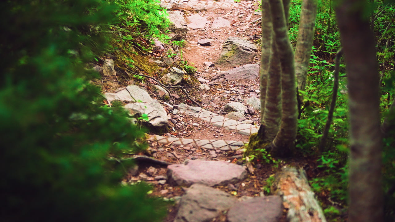 Tracking shot of rocky trail with thick tree covered forest to the left and right on a fall day. St. Johns Newfoundland. Canada.