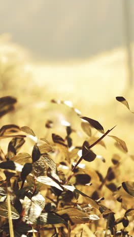 green leaves in sunlight