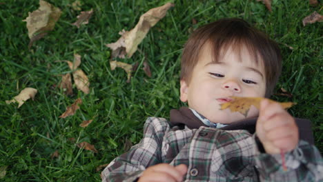 a cheerful asian kid lies on the grass and yellow leaves, a fun walk