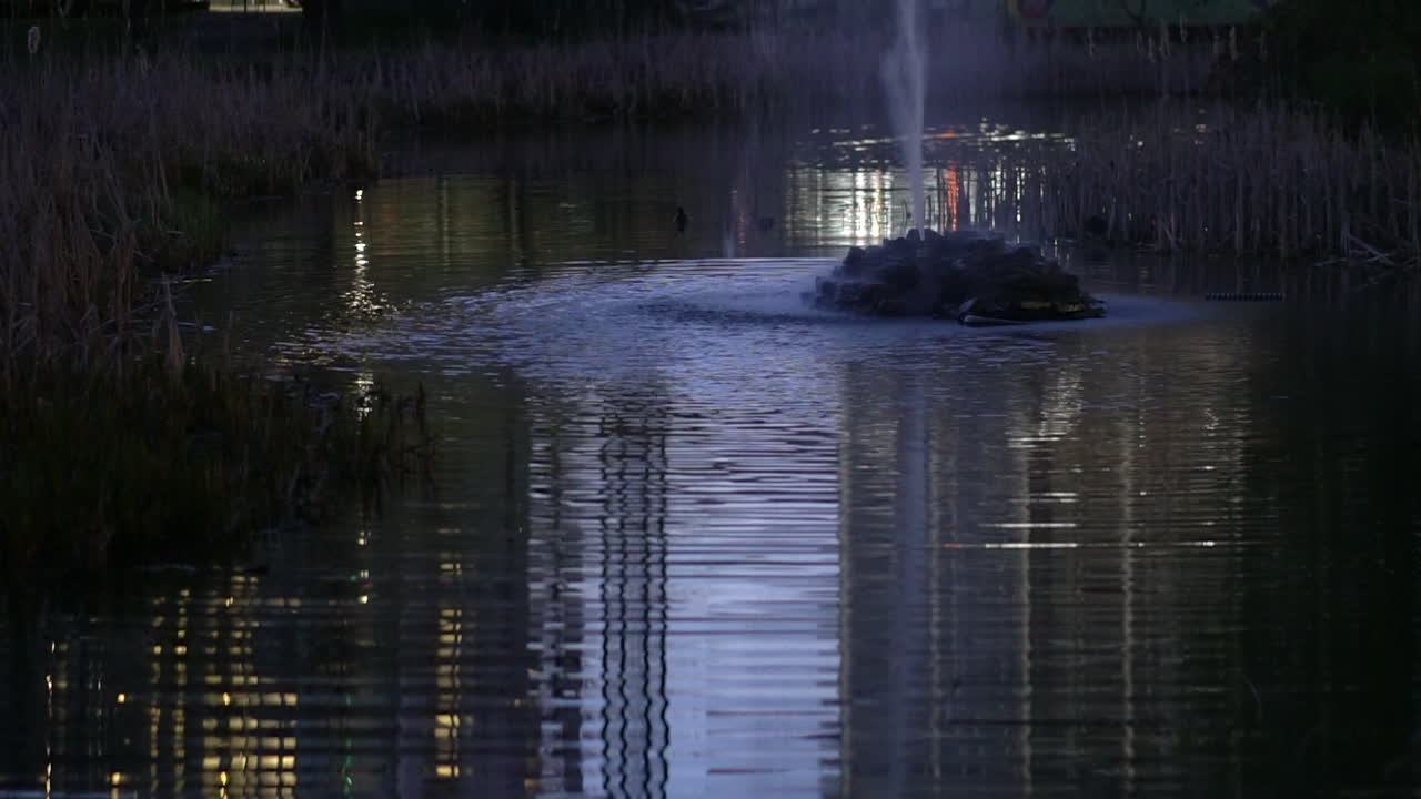 공원의 밤, 분수에서 반사되는 물, 도시 낙원