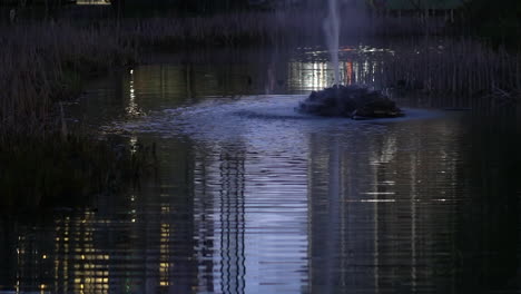 noche en el parque, el reflejo del agua de una fuente, paraíso urbano