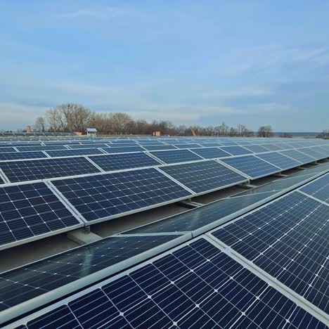 Rows of solar panels in the modern farm. Innovative source of clear energy from the sun. Sustainable and renewable energy.
