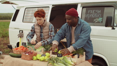 multiethnic farmers preparing vegetables for sale