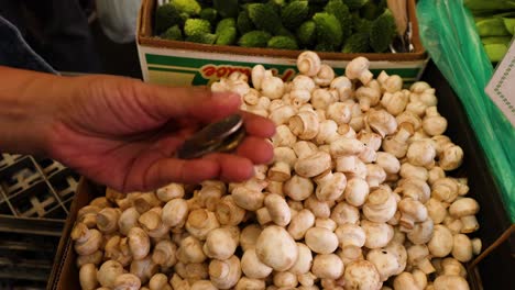 hand exchanging coins for fresh mushrooms