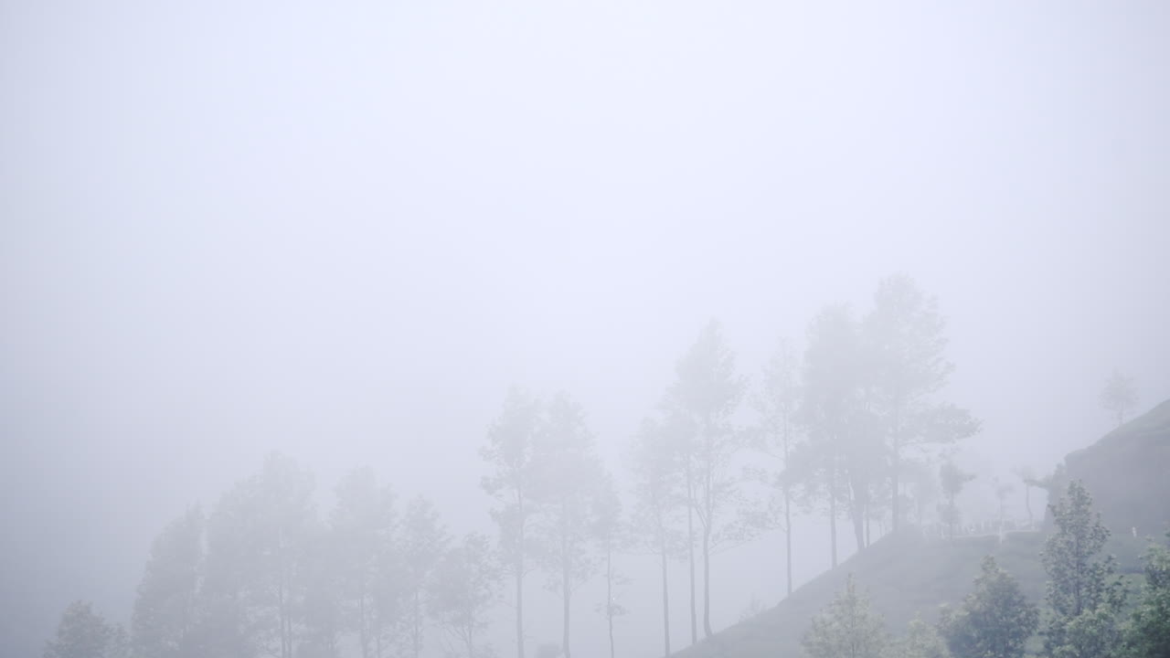 Heavy Wind Hitting The Trees And Tea Plantation On The Uphill Slope Of A Hill In Munnar. -wide shot