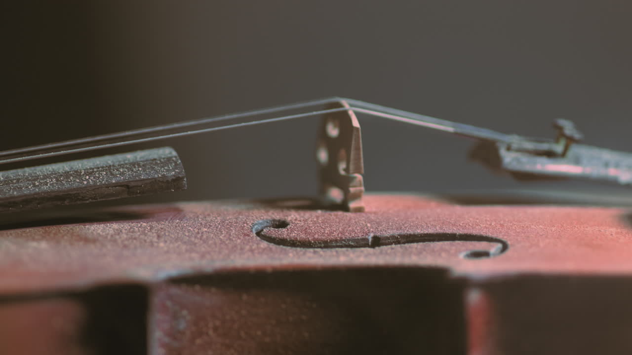 Close up of a violin and strings