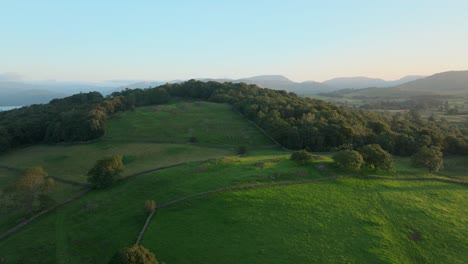 woodland covered hilltop at sunrise with camera rise showing lake and distant mountains. summer. windermere, cumbria, uk