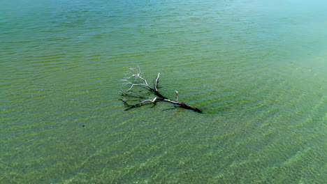 Pequeña-Isla-En-Un-Lago,-Masa-De-Tierra-Dentro-De-Un-Lago