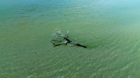 pequeña isla en un lago, masa de tierra dentro de un lago