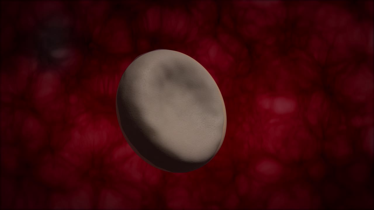 glóbulos rojos y burbuja de jabón