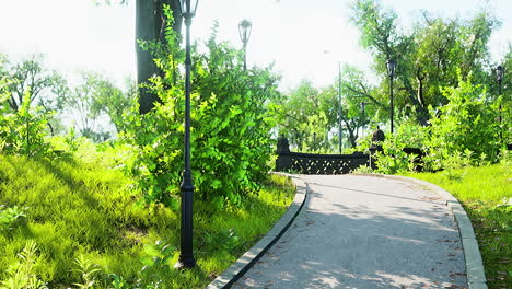 forest park road scenery in green countryside