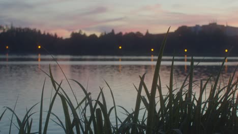 grass stalks on shore of natural lake during colorful sunset in background