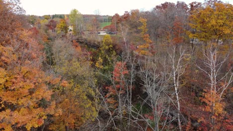 beautiful autumn colors of tree foliage in niagara region in ontario, canada