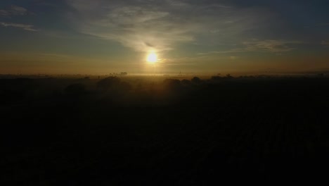dawning on crops in mexico