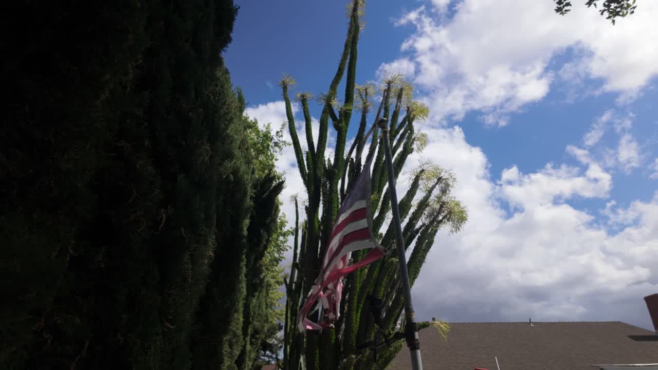 Shredded Flag in the Suburbs