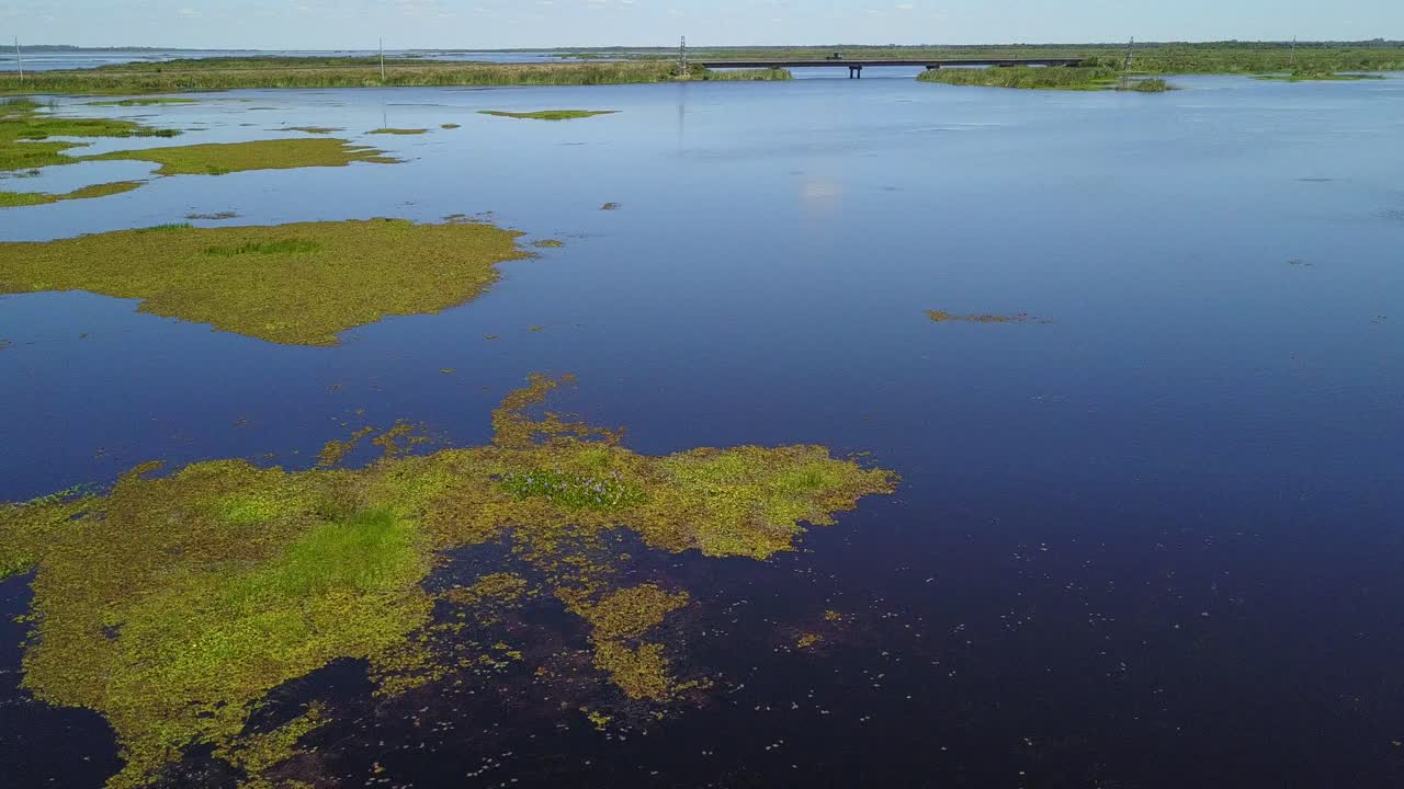 Zone umide del nord-est dell'Argentina riprese con drone