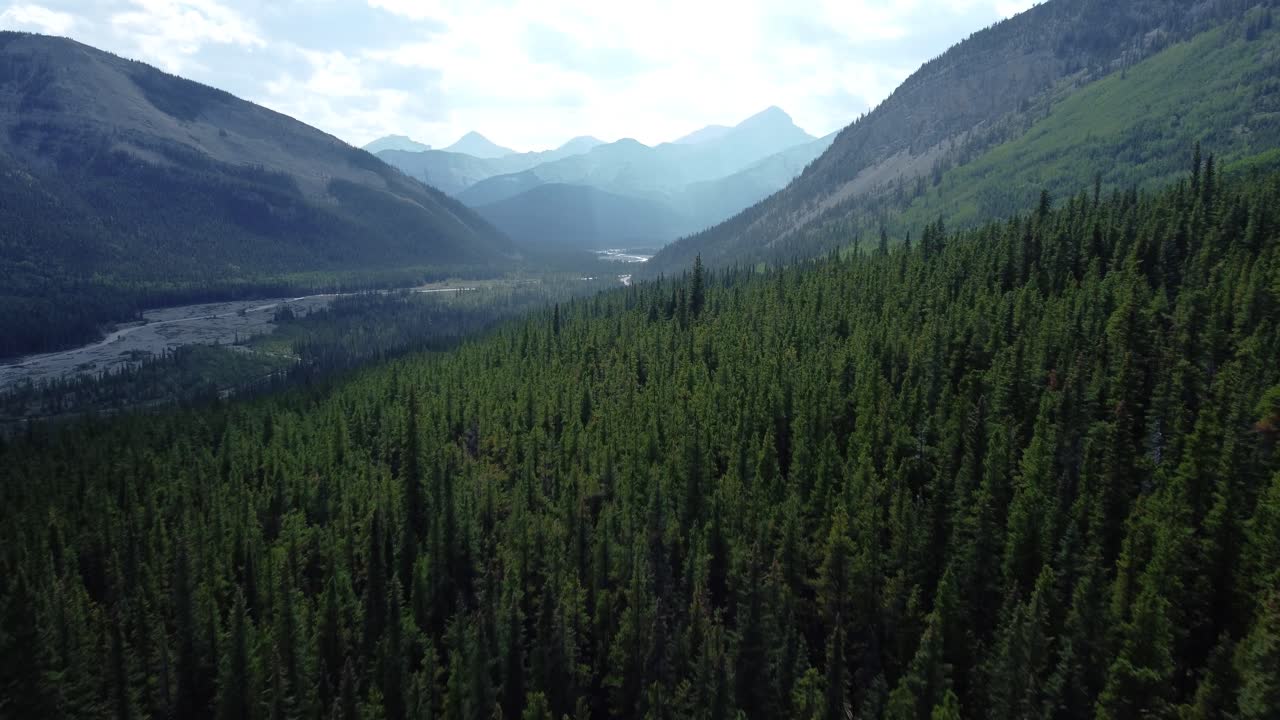 Foto aerea sfocata di una foresta boreale in Canada con vista sulle Montagne Rocciose