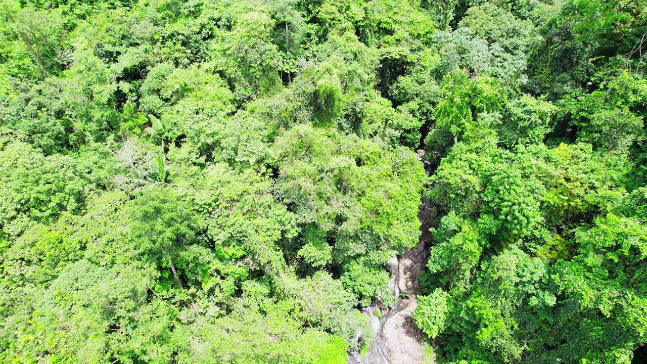 volar sobre la cascada llanita en el distrito de santa fe en la provincia de veraguas, panamá