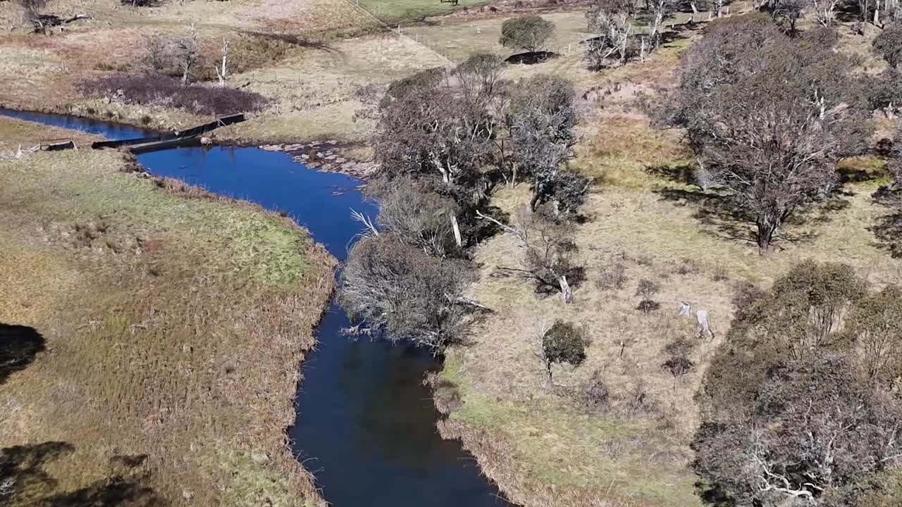 Imagens de drone capturando um curso de água azul serpenteante fluindo por pastagens verdes e árvores dispersas.