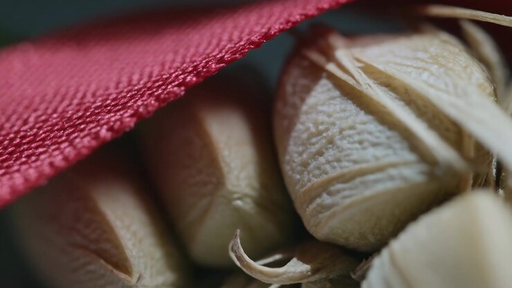 Telecamera in movimento che porta in primo piano macro baccelli a coste beige e filamenti di buccia, tessuto rosso.