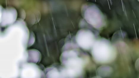 visibility diminishes under the onslaught of torrential rain in brazil