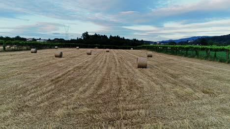 Fardos-De-Heno-En-El-Campo-Agrícola