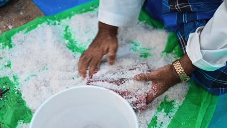 an arab fisherman salts tuna fish to preserve and store it