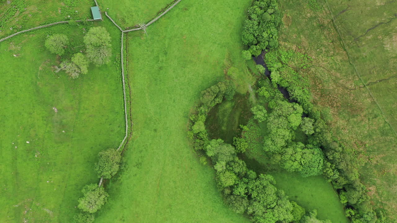 vista aérea de arriba hacia abajo de algunas tierras de cultivo rurales verdes, con paredes divisorias, en un día brillante