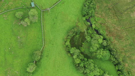 aerial top down view of some green rural farmland, with dividing walls, on a bright day