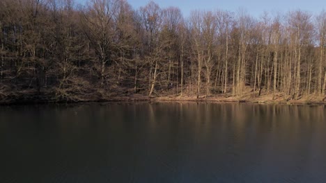 Two-people-standing-inside-a-brown-forest-that-grows-along-the-shore-of-a-blue-lake-at-sunset-in-Germany