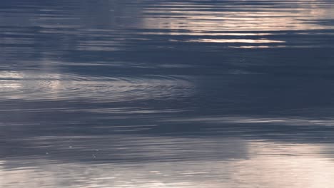 Wellen-Auf-Der-Wasseroberfläche