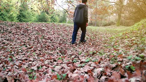 Mannfüße,-Die-Im-Parkherbstwald-Spazieren-Gehen