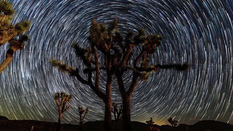 Hermosos-Senderos-De-Estrellas-Galácticas-Girando-En-Círculo-Alrededor-De-La-Estrella-Del-Norte-En-El-Cielo-Nocturno-Con-Un-árbol-De-Joshua-De-Forma-única