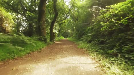 drone footage of peaceful countryside