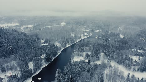 Foggy-Winter-Landscape---Drone-Flying-4K---Mountains---Trees,-rivers,-snowy---Cinematic-trees