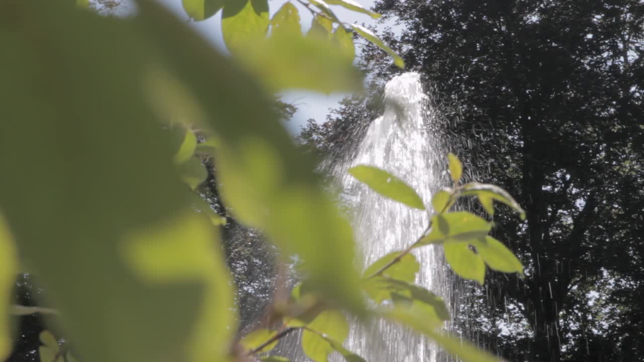 la luz del sol filtrándose a través de las hojas con una fuente en el fondo, una escena de parque sereno