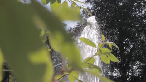 la luz del sol filtrándose a través de las hojas con una fuente en el fondo, una escena de parque sereno