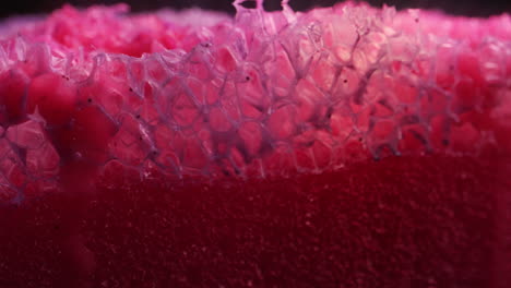 close-up view of a vibrant pink and purple sponge