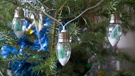 cute small christmas tree lights decorating a festive pine tree during the winter season