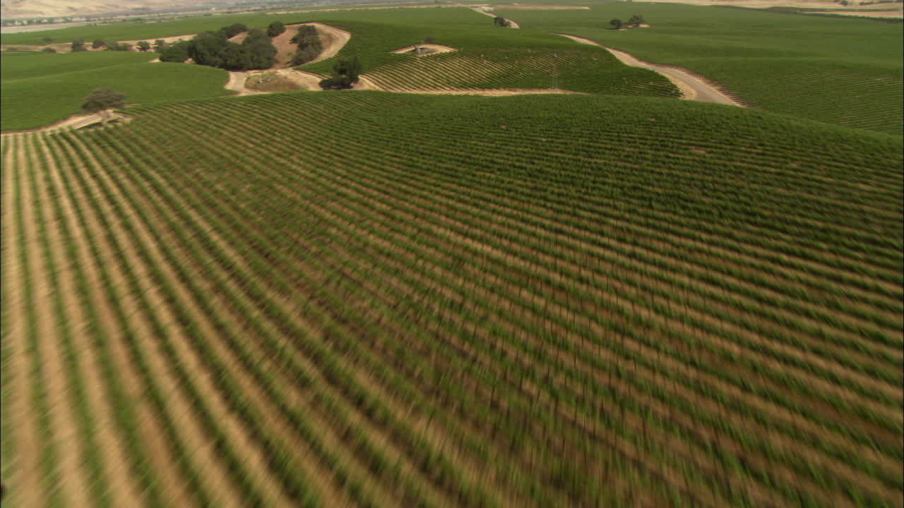 helicóptero aéreo de bajo nivel de los viñedos del condado de monterey california 3