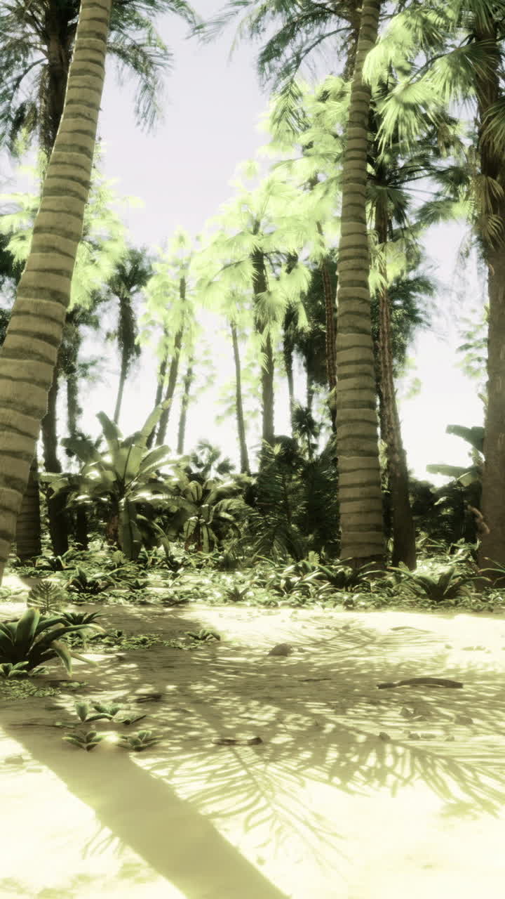 Sunlight filters through palm trees on a tropical beach with lush vegetation