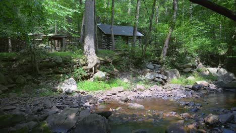 a stream in the woods flowing in front of a cabin