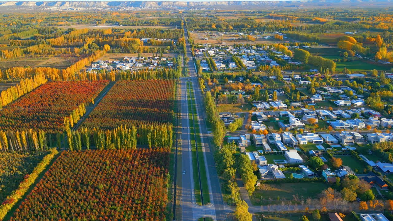 Vista Aerea di una Strada che Divide Aree Residenziali e Agricole in Autunno