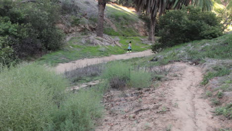 a long-distance runner paces herself far below on a narrow dirt path